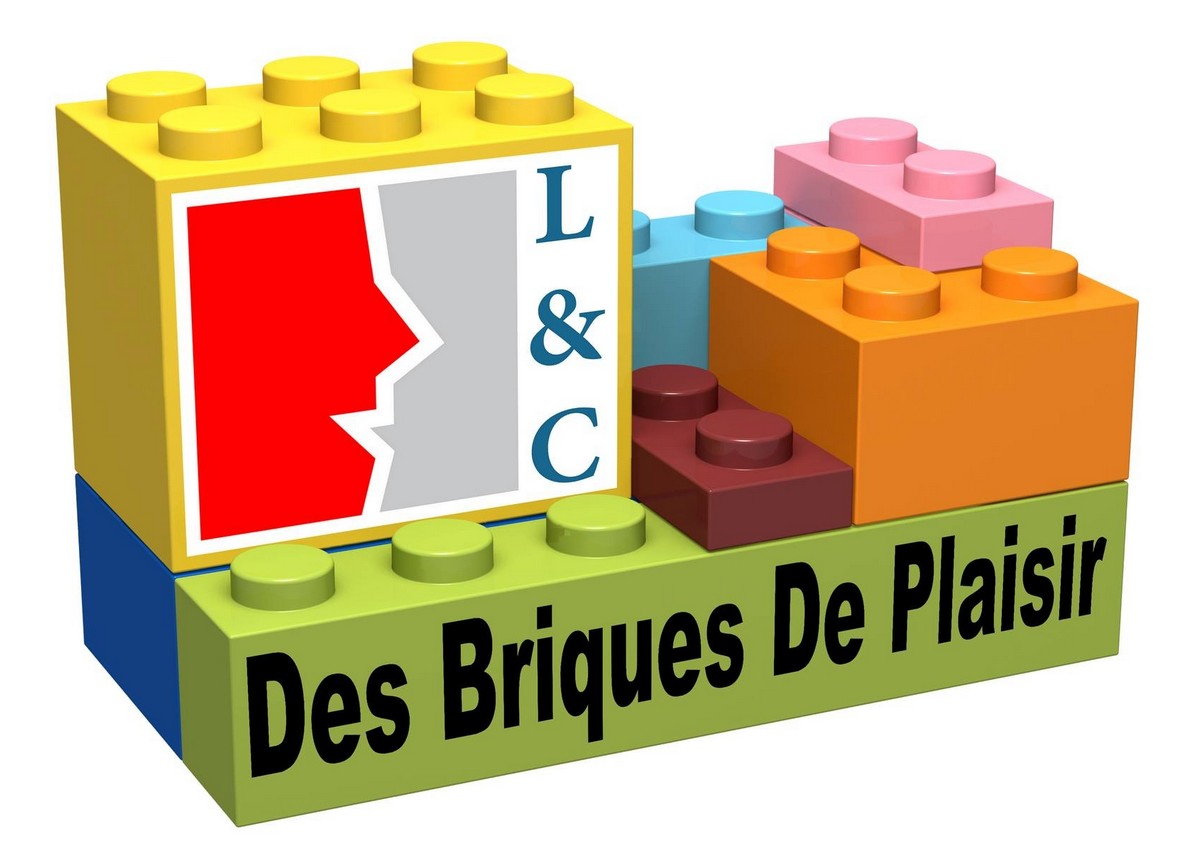 Logo Des Briques de Plaisir
